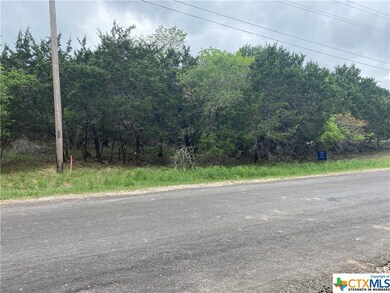 15945 Crockett Dr, Temple, TX 76502 - photo 6