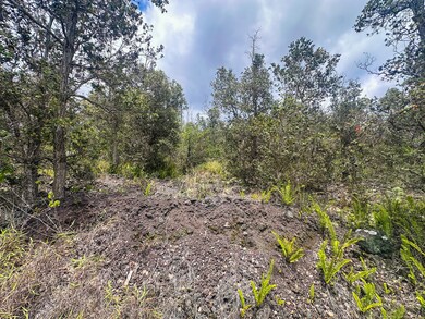 92-9130 Tree Fern Ln, Ocean View, HI 96737 - photo 5