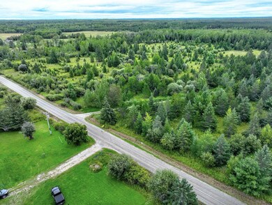 XXXX W Riek Rd, Cook, MN 55723 - photo 5