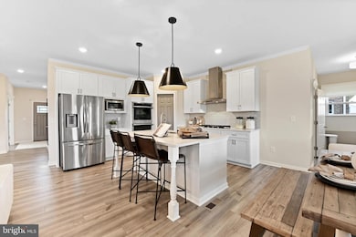 187 Malbec Ct, Winchester, VA 22602 - photo 2