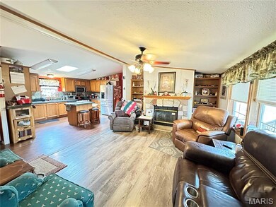 3054 Highway F, Salem, MO 65560 - photo 6