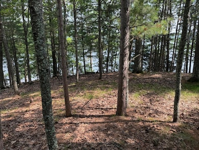 Lot 3 Pine Shore Ln, St. Germain, WI 54558 - photo 2