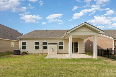 Year of yard looking back at the hosue