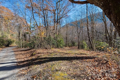 Lot Huckleberry Dr unit 24, Maggie Valley, NC 28751 - photo 5