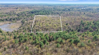 0 Island Rd unit S1604113, Albion, NY 13493 - photo 7