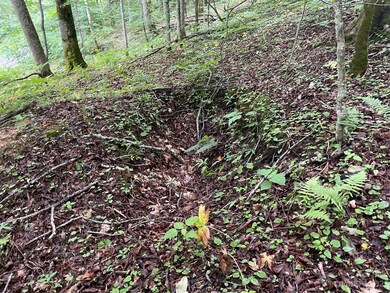 000 Chestnut Ln, Mars Hill, NC 28754 - photo 7