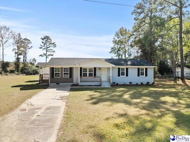 225 Butler Rd, Marion, SC 29571 - photo 3