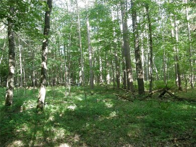 Looking toward the 11th green on the championship course. Voyager also has a par 3 golf course that plays along the shore of Birch Island Lake.