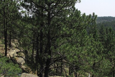 17 Bobcat Ln, Roundup, MT 59072 - photo 5