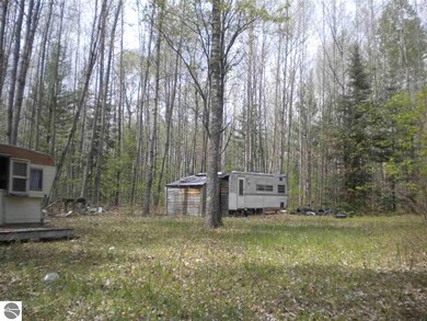 0 W Best Rd unit 18,19, Alger, MI 48610 - photo 2