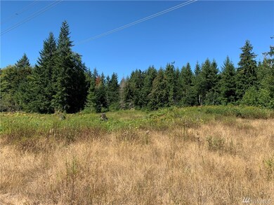 18520 250th Ave E, Orting, WA 98360 - photo 7