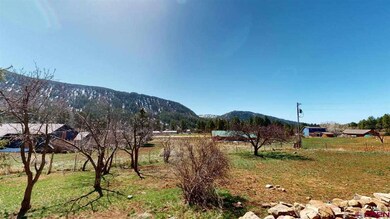 67 Lupine Cir, Durango, CO 81301 - photo 5