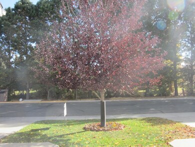 1107 Sage Brush St, Cody, WY 82414 - photo 3