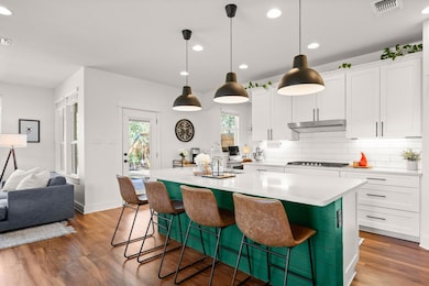 238 Big Leaf Dr, Buda, TX 78610 - photo 4