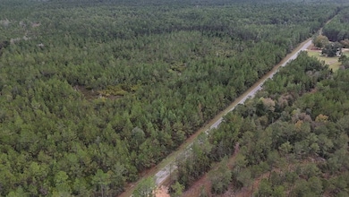 0 Deep Creek Rd, Wiggins, MS 39577 - photo 7