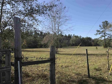 xx Kirton-Frazey Rd unit 4, Crawfordville, FL 32327 - photo 2