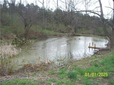 Other pond