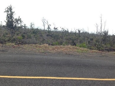 Lot 6 Block 334 has no electric or telephone poles