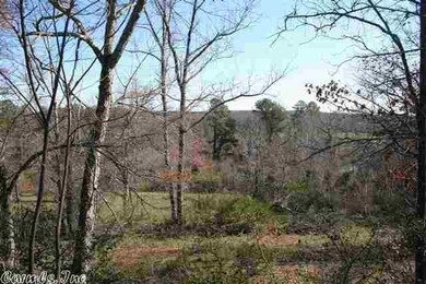 3795 Donnell Ridge Rd, Conway, AR 72034 - photo 7