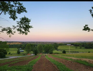 2640 Fords Mill Rd unit C, Versailles, KY 40383 - photo 4