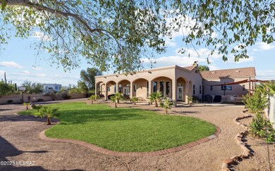 Backyard and patio view