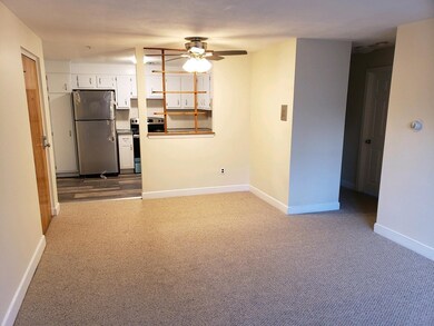 31 Irving St unit A7, Watertown, MA 02472 - photo 4