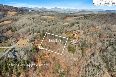 Lot 137 E Indrio Rd, Blowing Rock, NC 28605 - photo 3