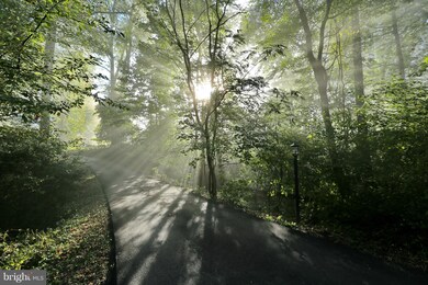 12026 Palisades Dr, Dunkirk, MD 20754 - photo 4