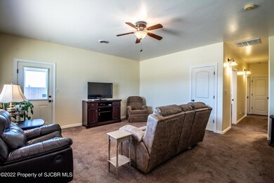 3 Road 3958, Farmington, NM 87401 - photo 6