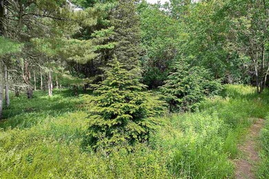 Lot #2 Hemlock Ln, Shelburne, VT 05482 - photo 7