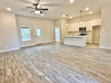 113 Monarch Ln, Poolville, TX 76487 - photo 3