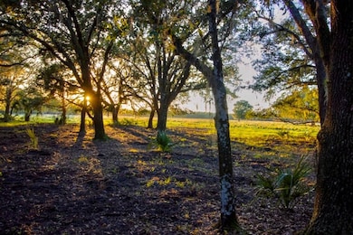 10193 Highway 60, Lake Wales, FL 33898 - photo 2