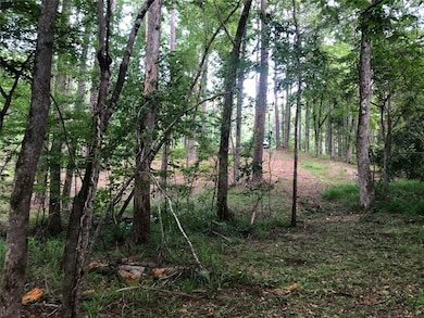 Lot 1 and 2 Amber Dr, Jacksons Gap, AL 36861 - photo 5