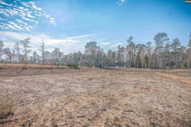 LOT 229 Lands End Ln, Prosperity, SC 29127 - photo 3