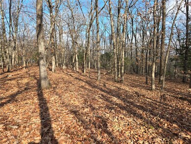 TBD Blue Mountain Rd, Prairie Grove, AR 72753 - photo 4