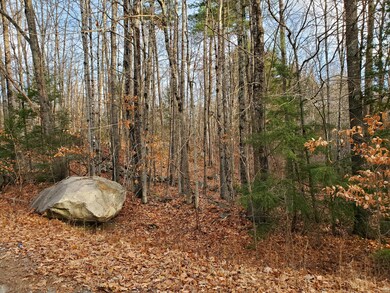 20201117_144943