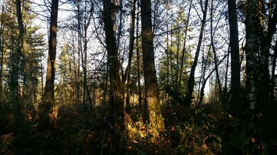 104 SE 288th St, Graham, WA 98338 - photo 4