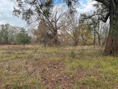 000 Jones Island Rd N, Searcy, AR 72143 - photo 5