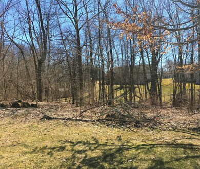 Hazelnut back yard trees