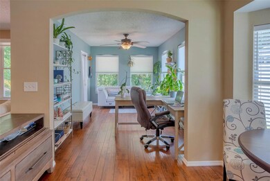 329 Tavernier Dr, Oldsmar, FL 34677 - photo 6