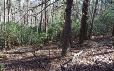 Additional View