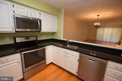 5719 Mayfair Manor Dr, Rockville, MD 20852 - photo 7