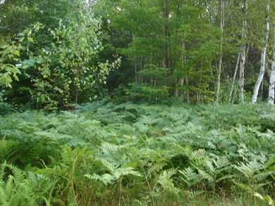 Basic Hunting Camp