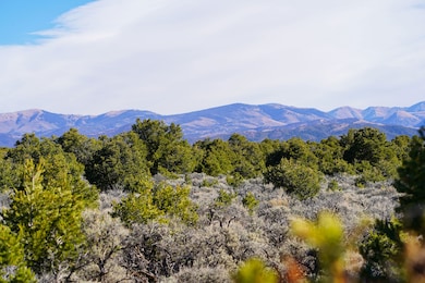 N Melby Ranch Rd, San Luis, CO 81152 - photo 2