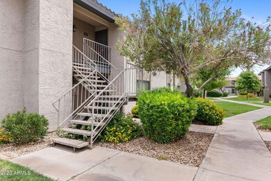2-web-or-mls-DSC02442