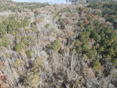 1597 Oconee Rd, Buckhead, GA 30625 - photo 5