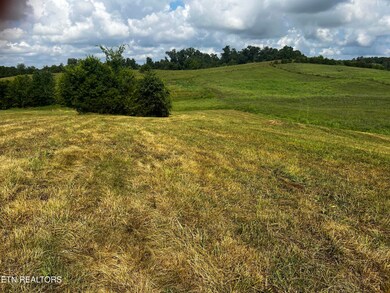 IMG_6933