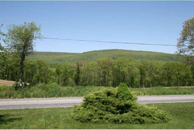 172 Mountain Rd, Lenhartsville, PA 19534 - photo 3