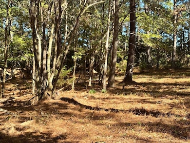 TBD County Road 3568, Woodville, TX 75979 - photo 7