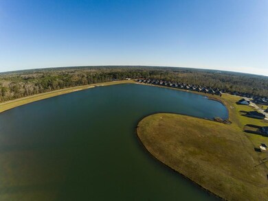 4122 Nelson Hill Place, Hahira, GA 31632 - photo 5